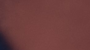 Greg y su perro Gunner murieron con tan sólo una hora de diferencia.