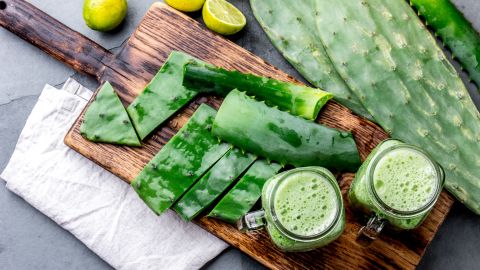 nopal