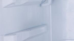 alimentos congelados