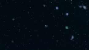 El pequeño le gritaba fuertemente a su madre.