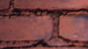 Descubre qué tan odiado es tu signo zodiacal.