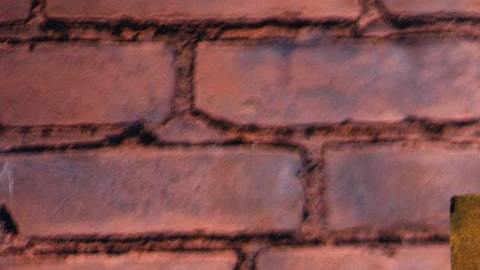 Descubre qué tan odiado es tu signo zodiacal.