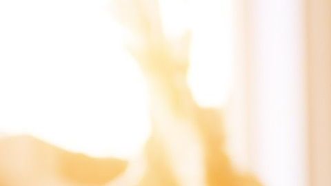 Los astros te dicen cómo fortalecer tu sistema inmune.