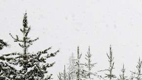 Conducir en la nieve es complicado.