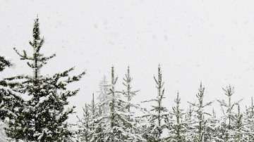 Conducir en la nieve es complicado.