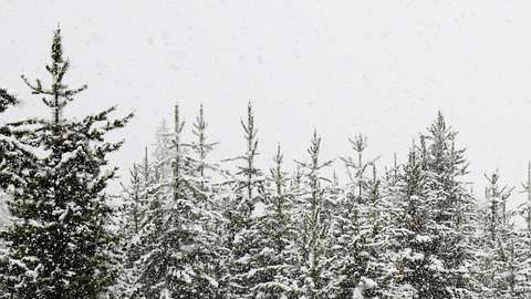 Conducir en la nieve es complicado.