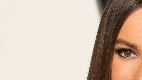 Sofía Vergara tiene nuevo proyecto