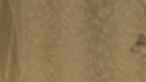 A nivel nacional, alrededor del 21% de los adultos de más de 65 años  viven solos.