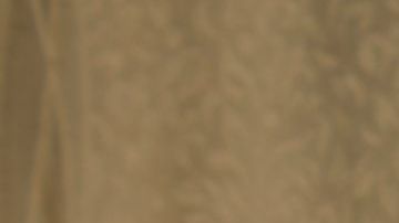 A nivel nacional, según un análisis del Censo, alrededor del 21% de los adultos (no hay diferenciación entre grupos étnicos) de 65 años o más viven solos.