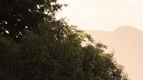 Kia Sorento 2020.
Crédito: Cortesía Kia.