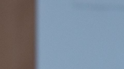 Las suegras buenas ondas se dan, pero escasean.