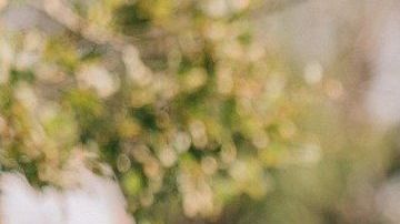 Investigadores descubrieron que las madres solían preferir a las hijas, sobre todo a las primogénitas. 