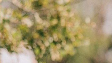 Investigadores descubrieron que las madres solían preferir a las hijas, sobre todo a las primogénitas. 