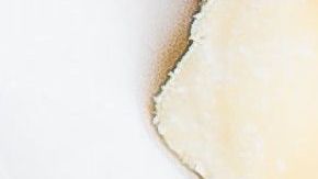 El cacahuate y otras semillas están presentes en muchos alimentos.