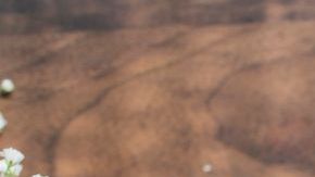 té manzanilla-rawpixelcom-PxHere