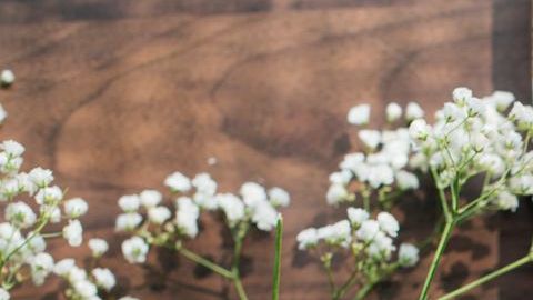 té manzanilla-rawpixelcom-PxHere