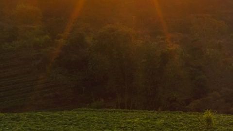 Nuevas telenovelas de Telemundo.