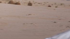 Tesla Cybertruck.
Crédito: Cortesía Tesla.