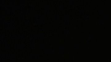 Usain Bolt espera su primer hijo