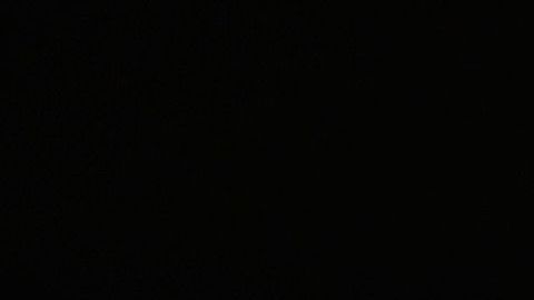 Usain Bolt espera su primer hijo