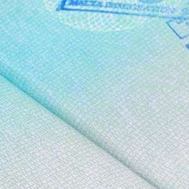 La visa H2-B permite que personas extranjeras viajen a EEUU contratadas por empleadores locales.