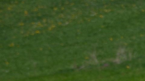 Volkswagen Vocho
Crédito: Pixabay