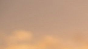 Estos signos son muy bondadosos y siempre buscan la justicia.