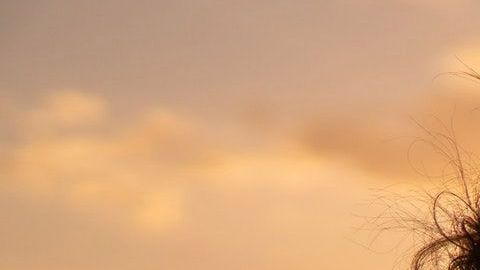 Estos signos son muy bondadosos y siempre buscan la justicia.