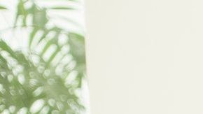 Cada signo tiene un nivel narcisista.