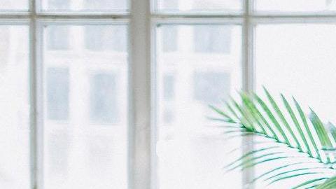 Purifica el ambiente con una limpieza energética.