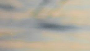 Sin duda, la sesión de fotos resultó mágica.