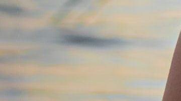 Sin duda, la sesión de fotos resultó mágica.