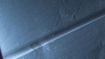 Soñar con piojos se relaciona a un mal augurio.