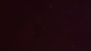 La polaridad de los signos se relaciona al principio del Yin y el Yang.