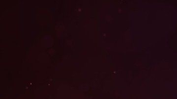 La polaridad de los signos se relaciona al principio del Yin y el Yang.