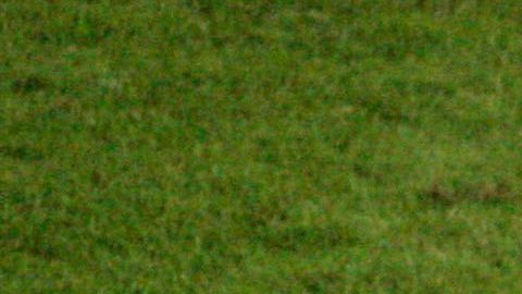 El legendario cabezazo de Zidane a Materazzi.