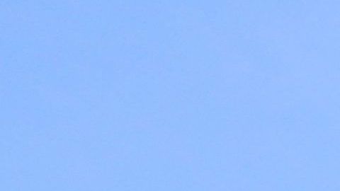 Nuestros Barrios. Recorriendo la Primera y Segunda Avenida entre la Calle 14 y Houston en Manhattan. Photo Credito Mariela Lombard/El Diario NY.