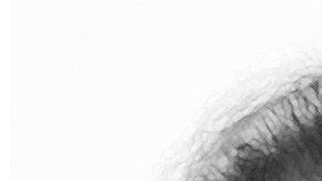 Homicidio de joven en Long Island