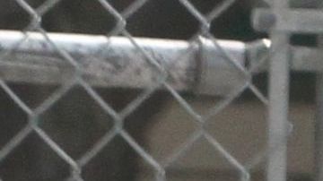 Contienda politica del Districto 8 en El Barrio y el Sur del Bronx, donde los candidatos para el concejo se miden hoy en las elecciones primarias.