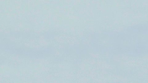 “Nole” dio la noticia a través de un comunicado.