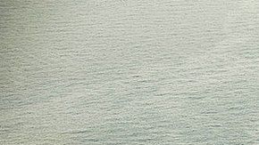 111245902_gettyimages-103256923