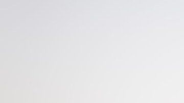 Alimentación forzada