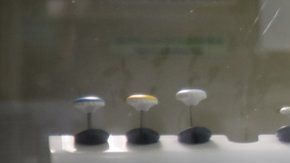 Científicos y especialistas trabajan en lograr una vacuna contra el COVID-19.