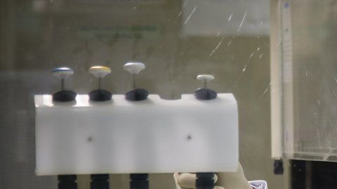 Científicos y especialistas trabajan en lograr una vacuna contra el COVID-19.