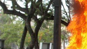 112737841_gettyimages-1217662229