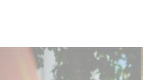 El premio Princesa de Asturias de Comunicación y Humanidades 2020 fue otorgado a dos organizaciones culturales.