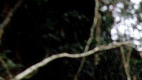 112818913_c0217081-ebola_virus_research-2