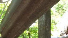 112820823_foto-1-peten-800x521-1