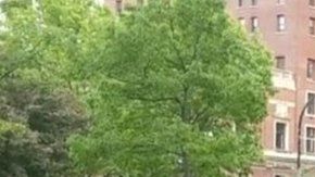 112831305_mediaitem112735194