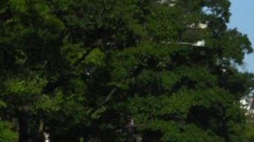 112862252_gettyimages-1219041680